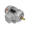 Motor trifásico de 5 HP alta Nema Premium Siemens