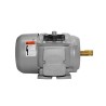 Motor trifásico de 3 HP baja Nema Premium Siemens