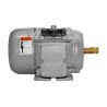 Motor trifásico de 10 HP baja Nema Premium Siemens